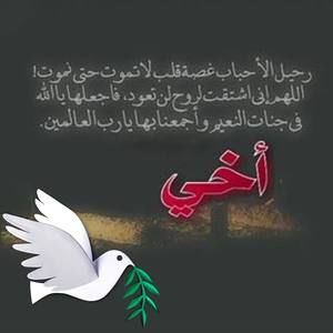 Meet your Posher, Faten